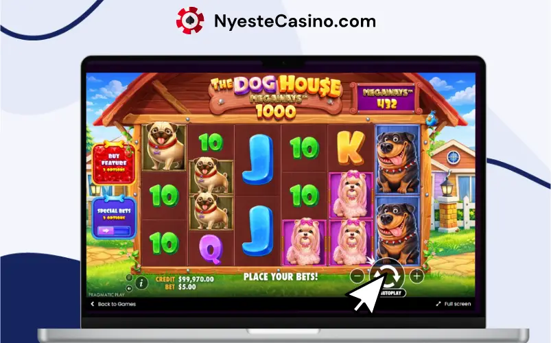 Rutenettstørrelsen til Dog House Megaways 1000 på en bærbar PC.